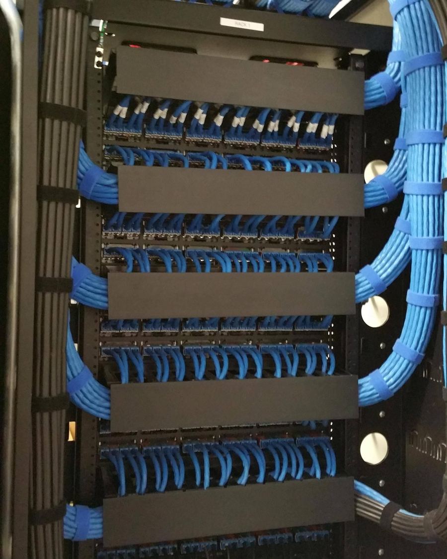 Wall-mounted rack with blue Cat6 cables routed through cable management